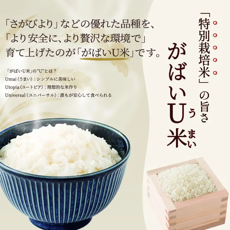 ≪ 定期便 6ヶ月 計 60kg ≫ 訳あり無洗米 10kg ( 5kg × 2袋 ) 令和7年産 がばいU米(うまい)  佐賀県産 米 お米 こめ コメ 白米 五つ星 お米マイスター厳選 鳥栖市ふるさと納税限定 弁当
