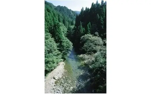 令和7年産 特別栽培米コシヒカリ 「仙見米」5kg | 新潟県 五泉市