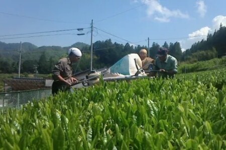 南信州産茶葉100％ 信州若蒸し茶 一番茶／信州和紅茶 リーフ