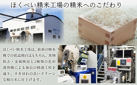 【令和7年産】北海道産ななつぼし 10kg（5kg×2） 【ふるさと納税 人気 おすすめ ランキング 米 こめ コメ お米 ななつぼし ご飯 ごはん 白米 おにぎり 精米 北海道産 北海道 網走市 送料無料】 ABT007