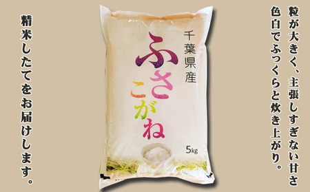 《令和７年産》【米屋新蔵】お米ソムリエ特選 千葉県産『ふさこがね』５kg　[0013-0049]