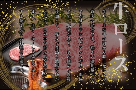 AG113.博多和牛ロースステーキ用400g（200g×2枚）【博多和牛】