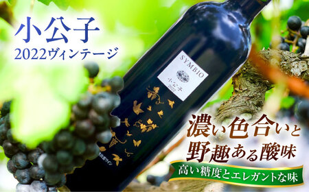 【贈答用】限定ワインセット 小公子・シャルドネ 白ワイン 750ml×2本 [AICS092] 