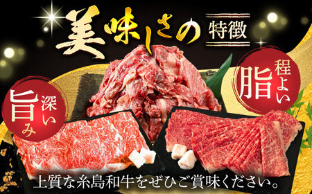【全12回定期便】希少和牛！糸島和牛 こまぎれ 1kg 糸島市 / トラヤミートセンター 牛肉 黒毛和牛[AJD020]