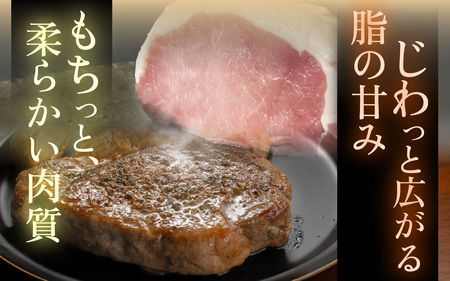 プレミアム能登豚「豚輝」焼肉用 2種セット 計2kg |お肉 ブランド豚