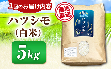 【3回定期便】【令和7年度産】白米ハツシモ 5kg 白米 5kg 白米定期便[ANHI003]