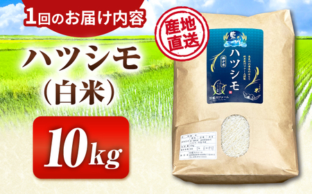 【3回定期便】【令和7年度産】白米ハツシモ 10kg 白米 10kg 白米定期便[ANHI005]