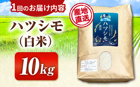 【6回定期便】【令和7年度産】白米ハツシモ 10kg 白米 10kg 白米定期便[ANHI006]