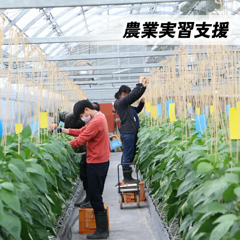 【返礼品なし/10,000円】高知大学 農林海洋科学部 支援事業(教育・研究・地域貢献を支える寄附) 支援