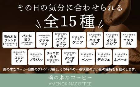 【雨の木なコーヒー】スペシャルティコーヒー ドリップバッグ 12個セット