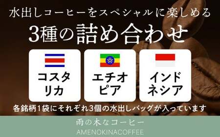【雨の木なコーヒー】 スペシャルティコーヒー 水出し 3点セット