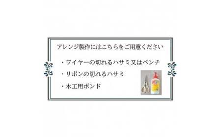 【手作りキット】全12色  プリザーブドフラワーアレンジ「エクラ」 【 クリア＆ピンクパープル 】