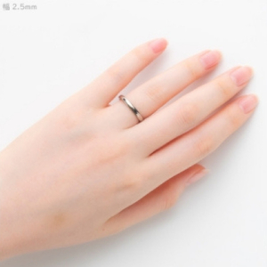 純チタン甲丸リング (幅2.5mm) 9号 | アクセサリー リング