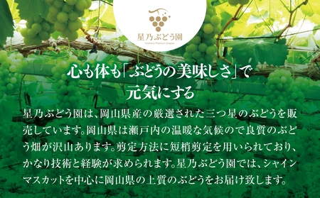 【先行受付】星乃シャインマスカット 数量限定 (岡山県産) 2房(1.3kg以上)【配送不可地域：離島・北海道・沖縄県】【1418970】