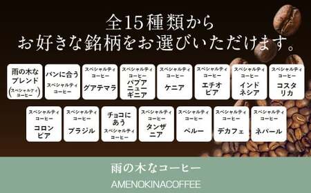 【雨の木なコーヒー】【豆のまま】 スペシャルティコーヒー豆 3袋 ご家庭用