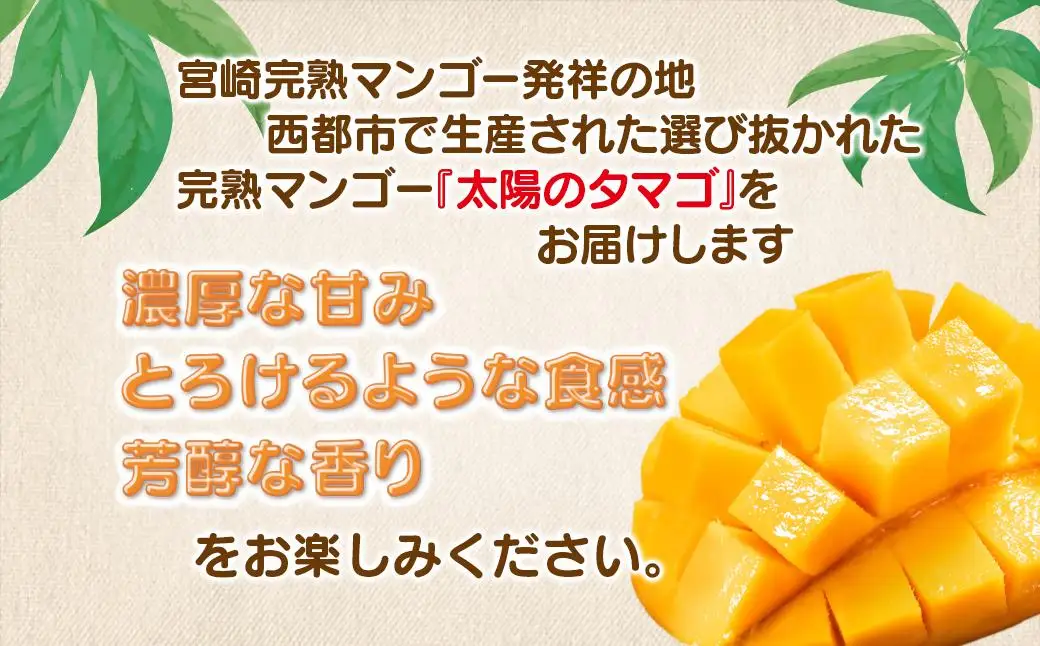 5月発送【先行予約】最高級ブランド『太陽のタマゴ』2L×2個【糖度15度以上】宮崎県西都市産完熟マンゴー＜68-1a＞宮崎マンゴー 果物 フルーツ 甘い