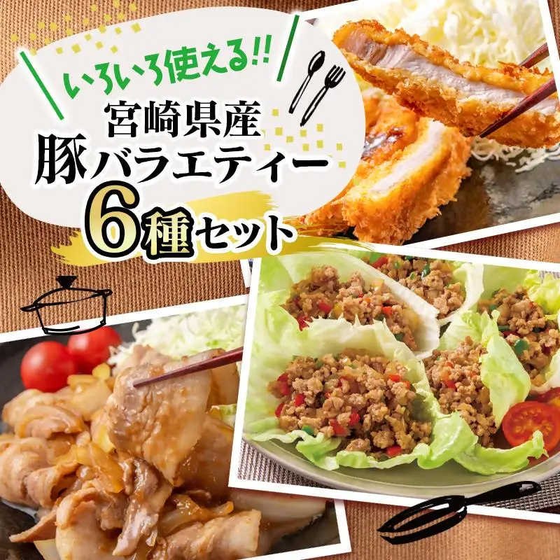 【2週間以内発送】宮崎県産豚肉 6種 バラエティ3kgセット＜58-40a＞小分け スライス 鍋 トンカツ 餃子等
