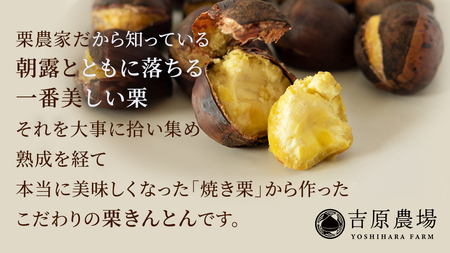 栗の深雫 (くりのしずく) 1箱 [FC010sa]