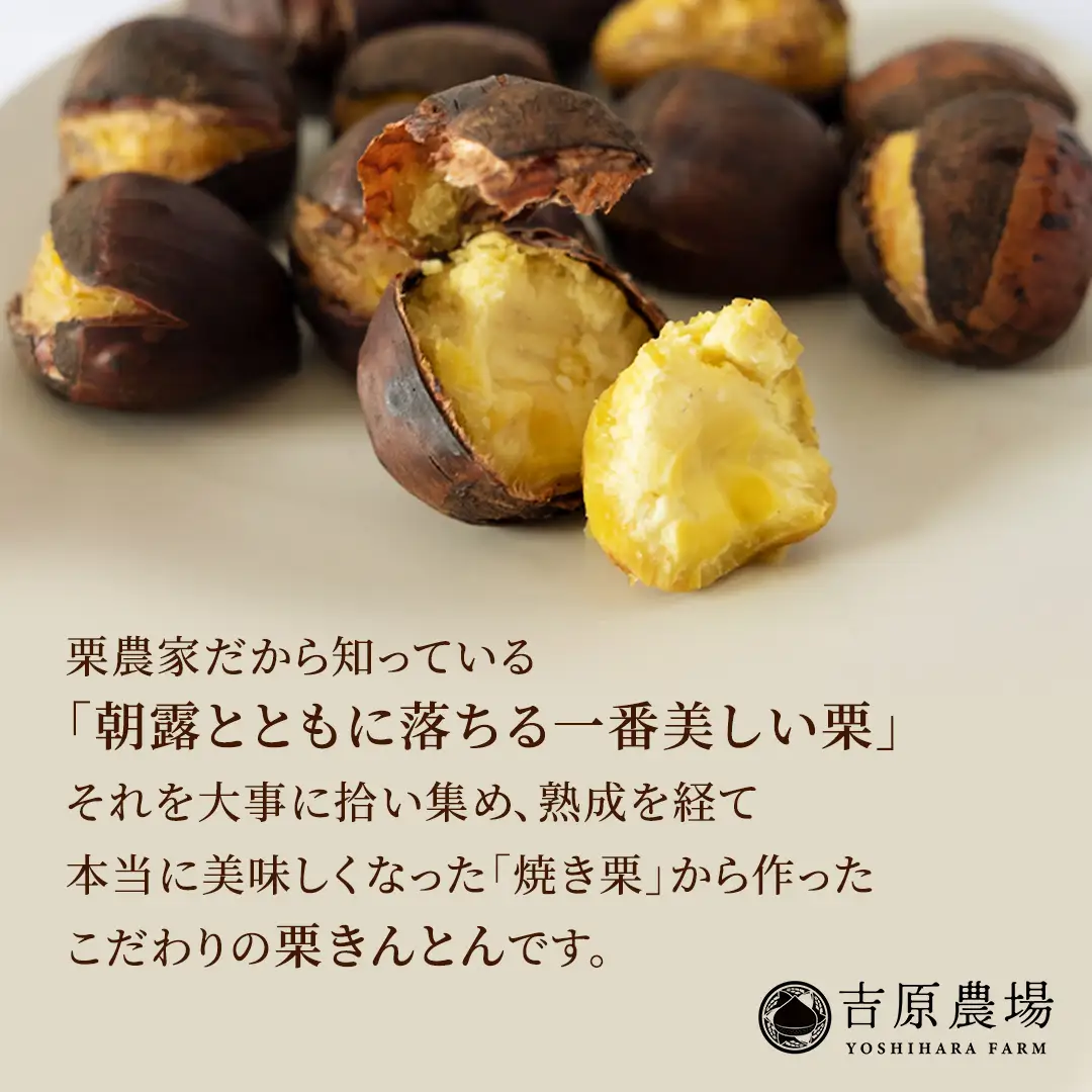 栗の深雫 (くりのしずく) 2箱 完熟 栗 くり クリ 栗きんとん 和菓子 おかし お菓子 贈り物 贈答 ギフト 秋 冬 [FC011sa]