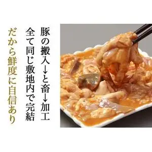 国産豚 味付き 生ホルモン 白(レバーなし) 4000g (400g×10パック) (DV052)