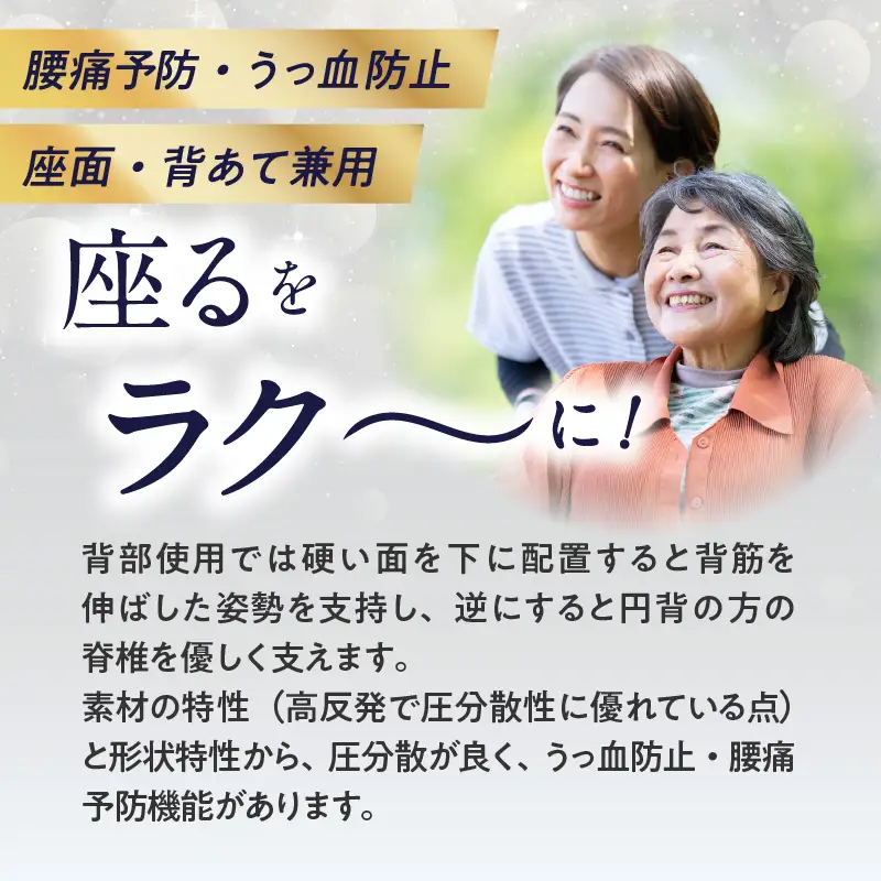 腰痛予防に！体圧分散 フォーケアクッション ProAir R11011