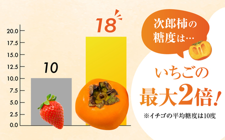次郎柿 6.5kg 訳あり 豊橋石巻産 甘 柿
