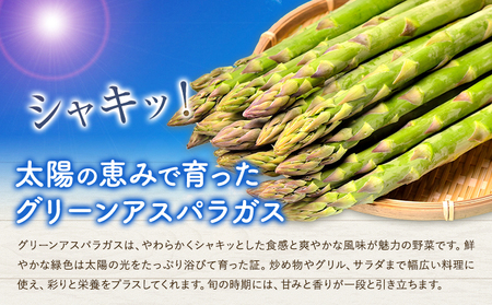 アスパラガス グリーン アスパラ 1kg