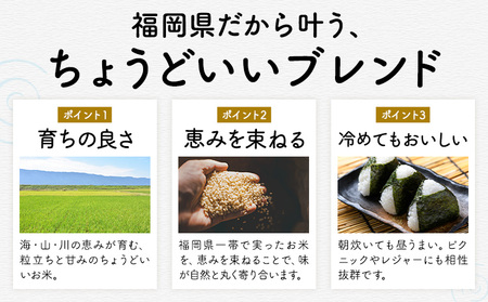 ふくおかみのり米 10kg 白米 《1-14日以内に出荷予定(土日祝除く)》 お米 ごはん ご飯 rice kome