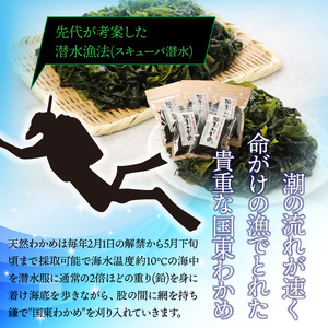 ＼テレビで紹介されました！／ 冷風乾燥が旨さの決め手！国東わかめ「乾燥カットわかめ」180g_0080N-2