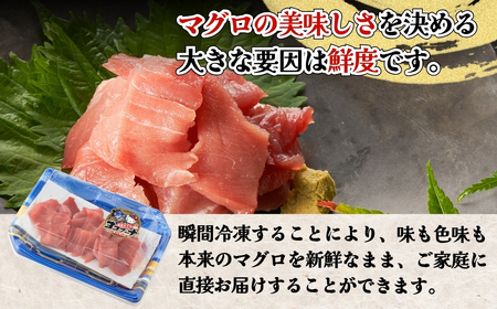 まぐろ まぐろ 中トロ 切落し 100g | 津久見市