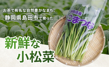 静岡県島田市産 小松菜200g×10袋　野菜 やさい こまつな 旬 国産 産地直送 詰合せ 静岡県 島田市