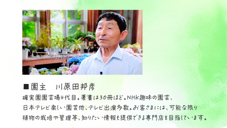 寄せ植え 江戸の四季 【 3ヶ月に1回お届け (全4回お届け) 】