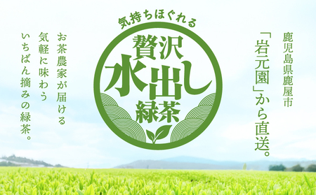 お茶 農家 の 水出し 緑茶 ティーバッグ（ お試しセット ） KN166-003 茶