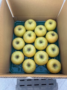 【先行受付】シナノゴールド 3kg（ 9～12玉 ） 