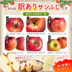 【先行受付】訳アリ　サンふじ　3kg　（9～12玉）