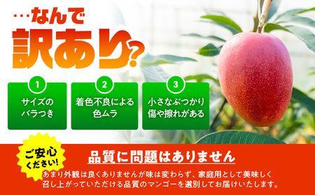 【 2026年 先行予約 】【 訳あり 】 甘い香り の 贈り物 ！ 山下農園 の 完熟アップルマンゴー 1kg （ 2～3玉 ） W063-004-01 わけあり 期間限定 果物 マンゴー