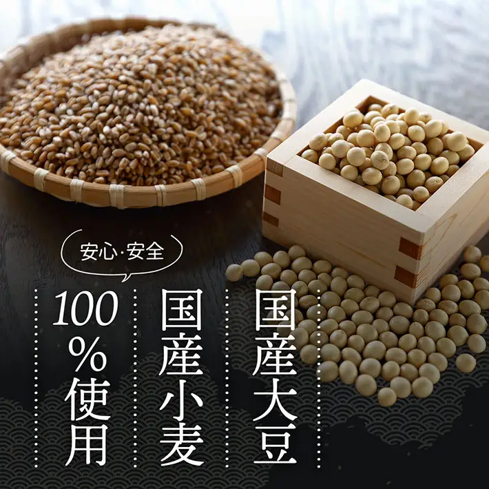 ハナブサ醤油 だし醤油 2本セット 1L×2本 醤油 しょうゆ だし 出汁 1823年創業 老舗の味 国産 調味料 家庭 普段使い 発酵食品