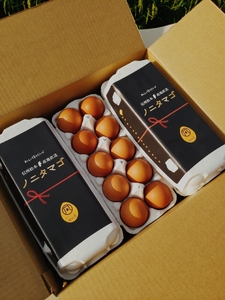 【４ヵ月定期配送】信州ノニタマゴ　茶玉３０個 
