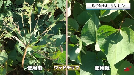 [引取り専用] 植物性有機肥料 フリーパスチケット (全種選択可) ／ ウッドチップ (枝葉・幹) 竹チップ全て [0524]