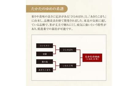 令和7年産 白米 5kg 品種：たかたのゆめ 陸前高田市 オリジナル ブランド 冷めてもおいしい 白米