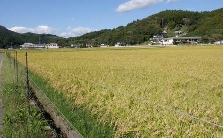 岩手県産ひとめぼれ 5kg 玄米 ひとめぼれ