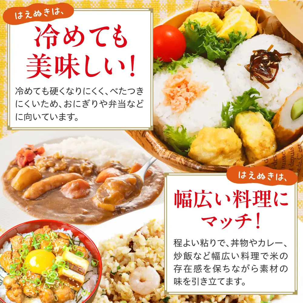 令和7年産 山形県産 はえぬき 無洗米 15kg はえぬき