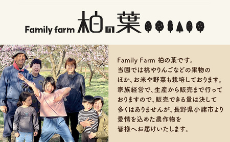 【2026年発送先行予約】　長野県小諸市産桃　約2kg（6～9玉） ギフト用　【Family farm 柏の葉】
