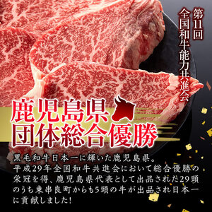 【18426】鹿児島県産A4等級以上！黒毛和牛ヒレステーキ(計280g・約140g×2枚) 国産 牛肉 肉 冷凍 鹿児島 ステーキ ヒレ肉 赤身 高級 キャンプ アウトドア【デリカフーズ】