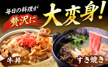 【A4-A5】博多和牛 大判霜降り 贅沢切り落とし 250g [BGAB108]