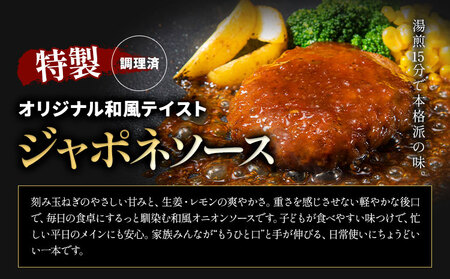 ハンバーグ 鉄板焼き 肉肉ハンバーグ  デミグラスソース ジャポネソース 食べ比べ 20個 《30日以内に出荷予定(土日祝除く)》熊本県 国産 牛肉 豚肉 鶏肉 ハンバーグ 専門店監修 小分け デミ ジャポネ 肉