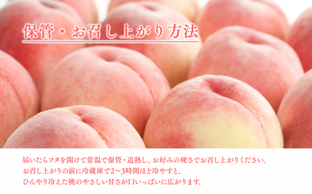 【レビューキャンペーン】【2026年産 先行予約】平川市産白桃 品種お任せ(あかつき/まどか/伊達白桃) 約２㎏(6-8玉)[hi-0064-003]