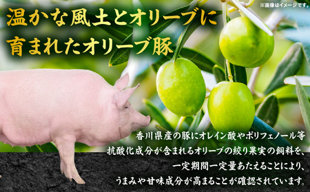 オリーブ豚ロース極厚ステーキ 計1000g【高松市共通返礼品】| 国産 国産豚 オリーブ豚 豚肉 1000g 1kg ブランド豚 ロース 極厚 お肉 豚 冷凍 とんかつ ステーキ 日用 贈答 贈り物 香川県 三木町 |_mk017-007