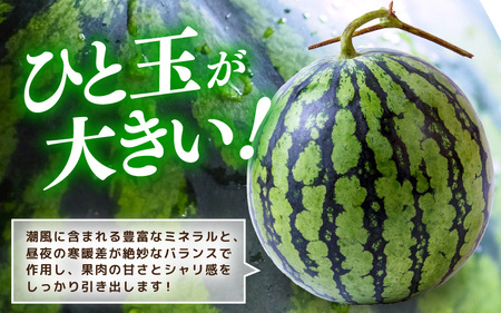 【先行予約】やまびこ農園の大玉スイカ 1玉 (7~8kg) 【2026年6月中旬以降順次発送予定】  [A-21902]