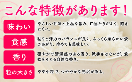 【12ヶ月定期便】夢つくし 令和7年産 米 20kg 白米《お申込み月の翌月から出荷開始》 福岡県 小竹町 お米 白米 国産